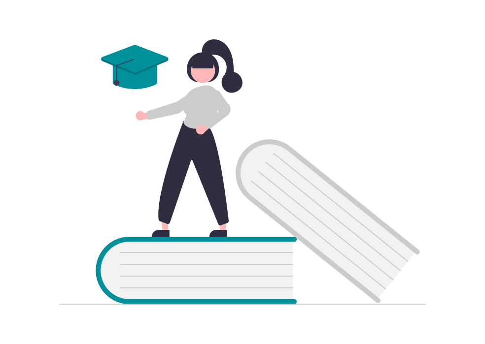 Des options d'enseignement